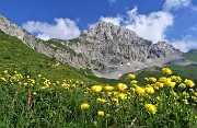 SENTIERO DEI FIORI ‘Claudio Brissoni’ ad anello da Capanna 2000 il 9 luglio 2020 - FOTOGALLERY